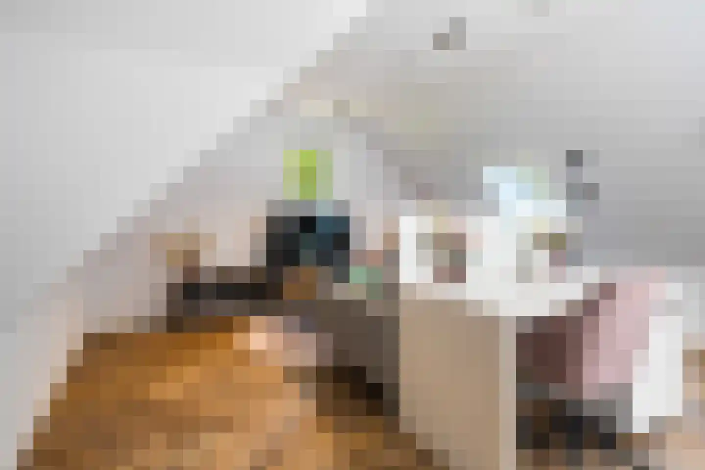 Siebe Annesweg 3 Oudehorne thumbnail 98