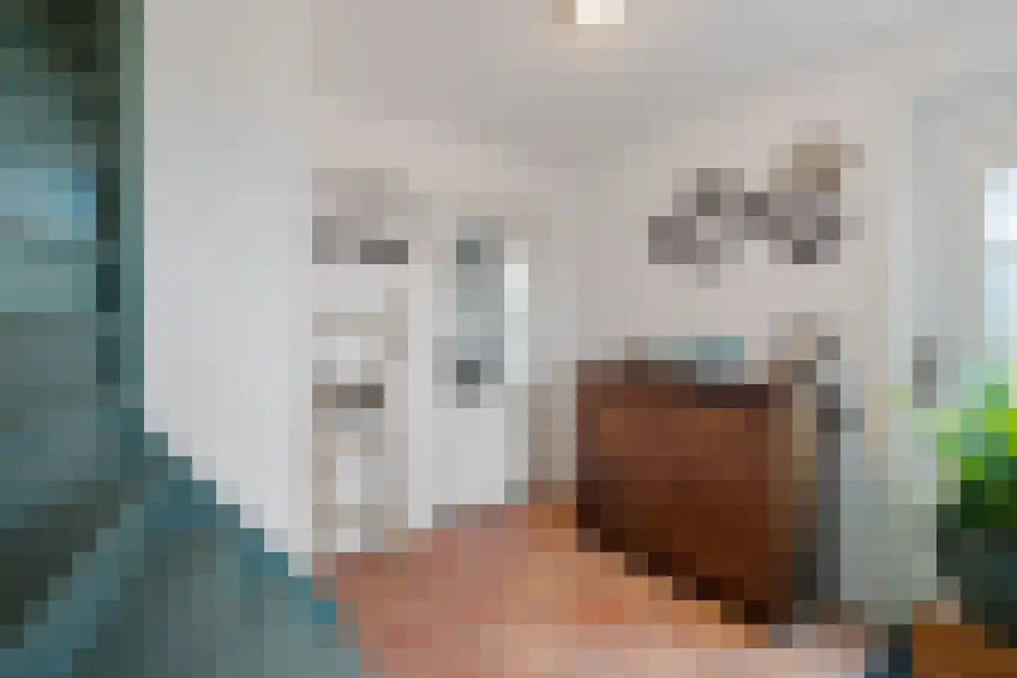 Siebe de Ruiterweg 5 Oudehaske thumbnail 14