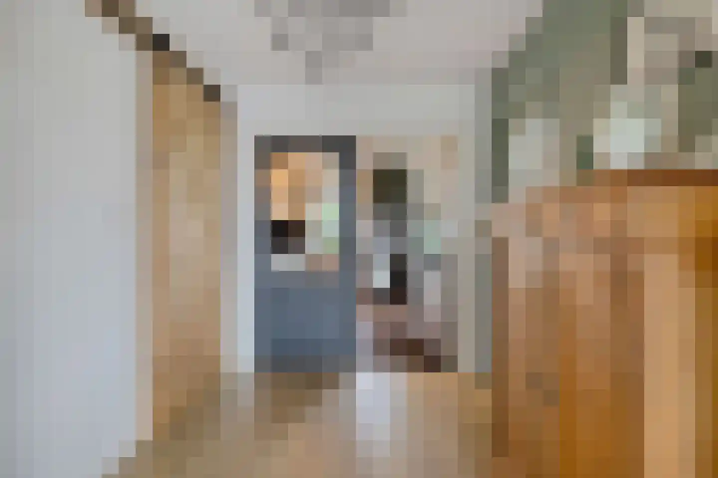 Siebe de Ruiterweg 5 Oudehaske thumbnail 22