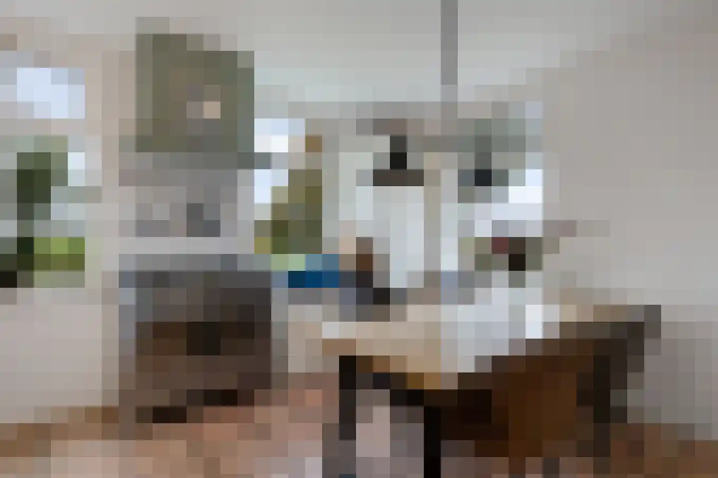 Siebe de Ruiterweg 5 Oudehaske thumbnail 24