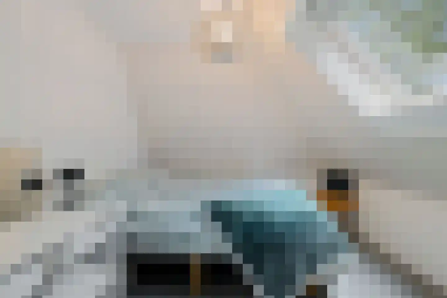 Siebe de Ruiterweg 5 Oudehaske thumbnail 31