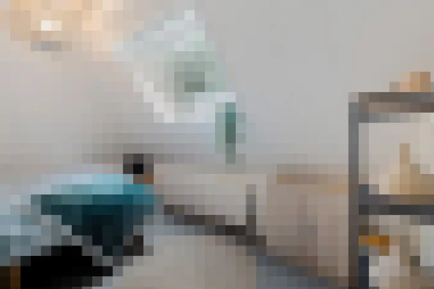 Siebe de Ruiterweg 5 Oudehaske thumbnail 32