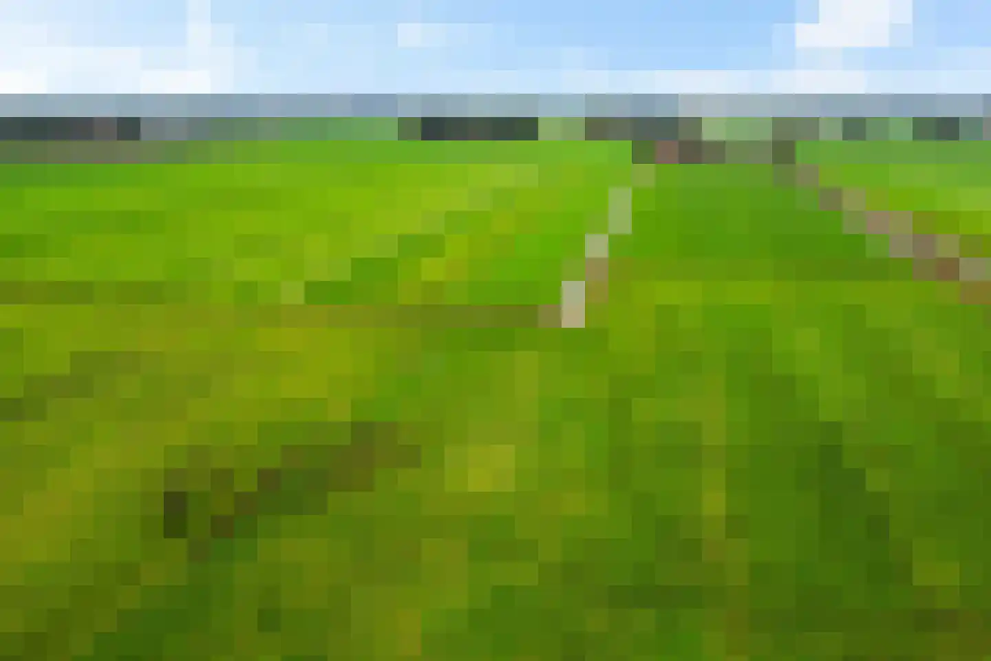 Siebe de Ruiterweg 5 Oudehaske thumbnail 57
