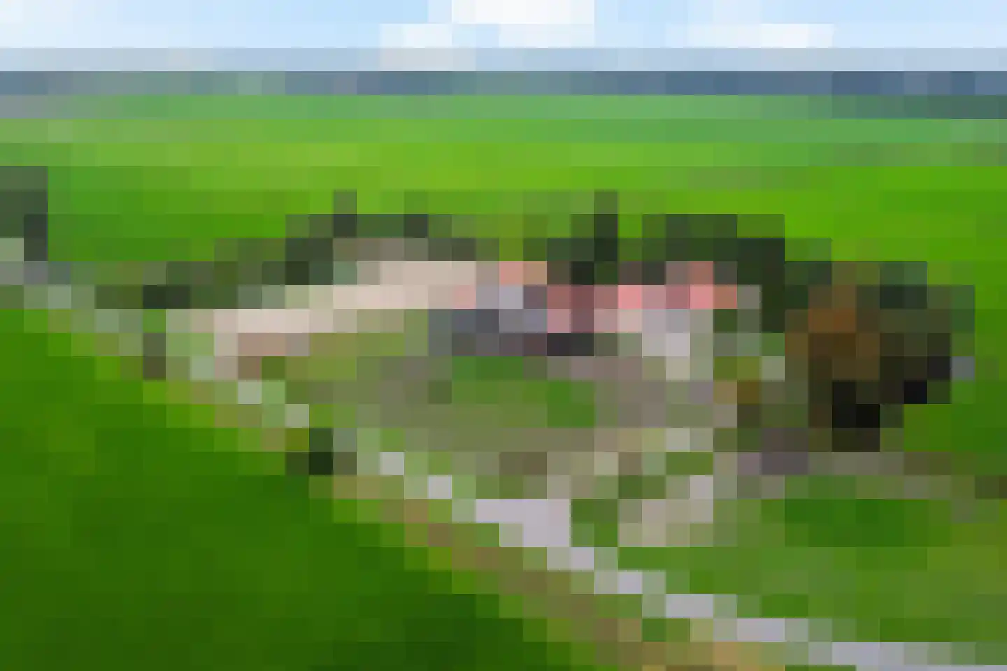 Siebe de Ruiterweg 5 Oudehaske thumbnail 60