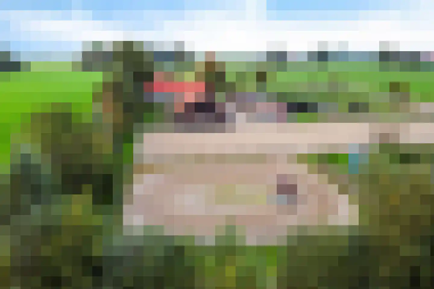 Siebe de Ruiterweg 5 Oudehaske thumbnail 65