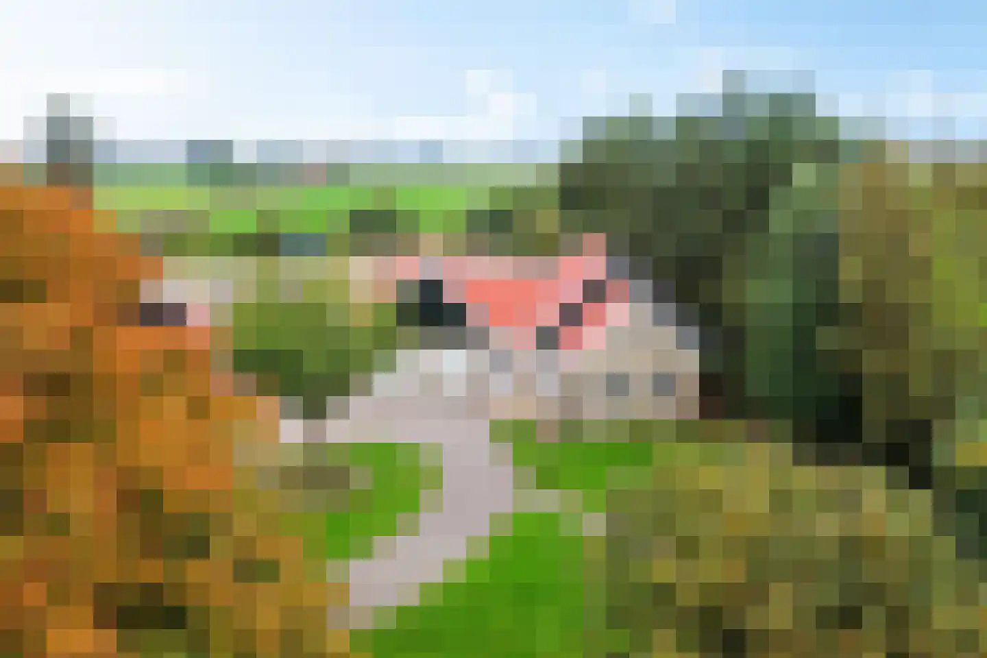 Siebe de Ruiterweg 5 Oudehaske thumbnail 67