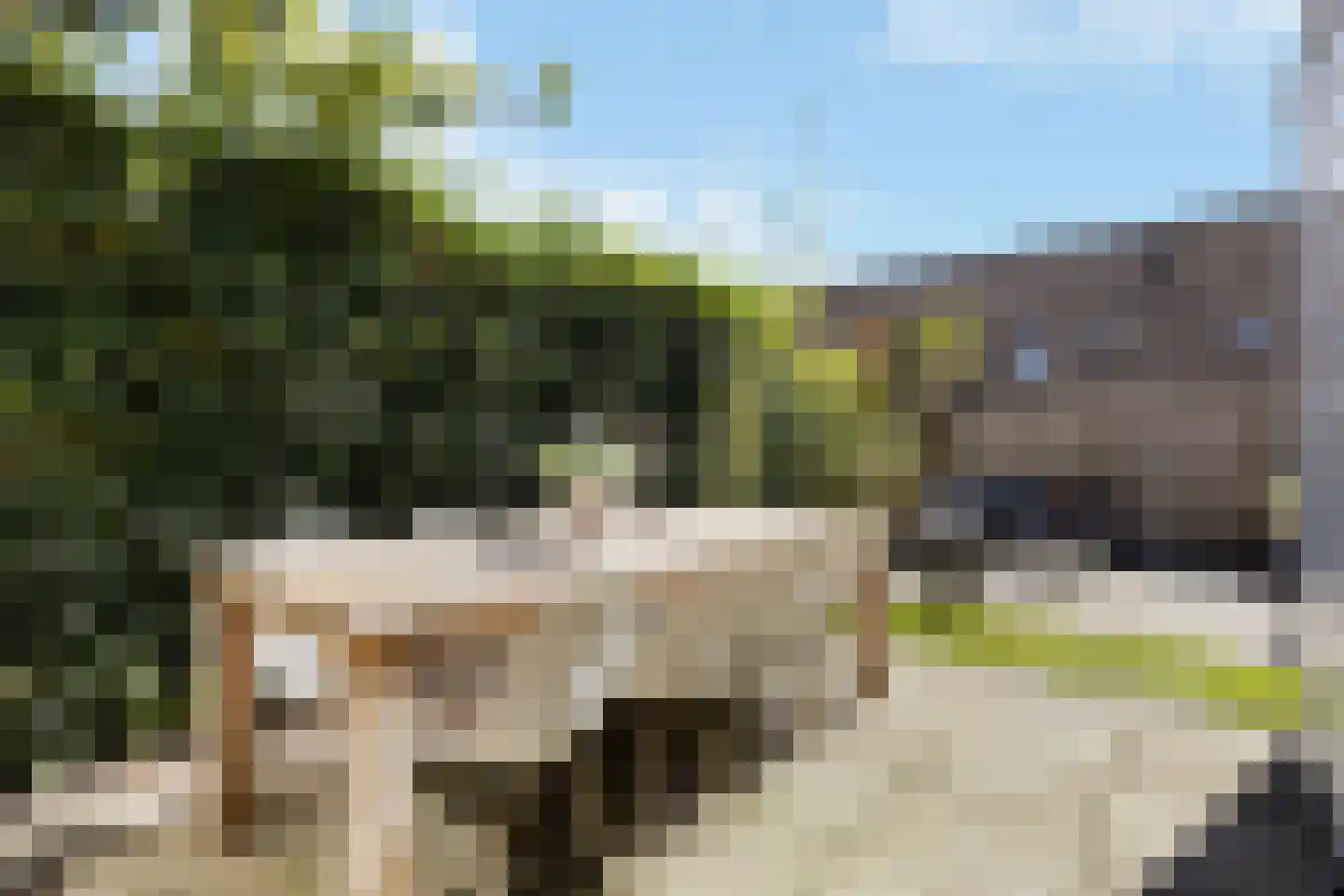 Siebe Schootstrastraat 57 Leeuwarden thumbnail 15