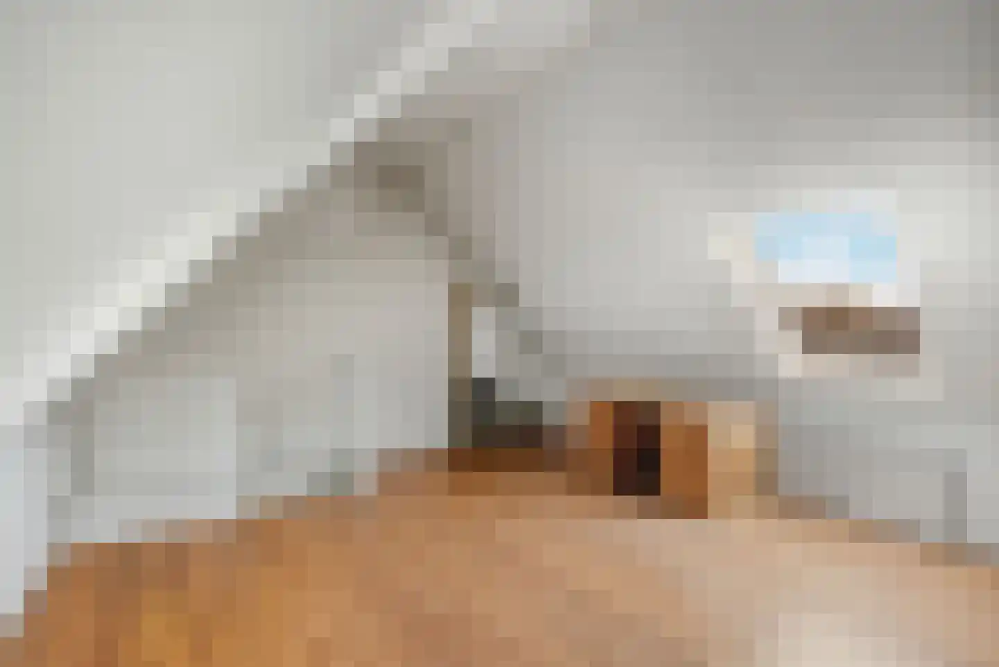 Siebe Schootstrastraat 87 Leeuwarden thumbnail 31