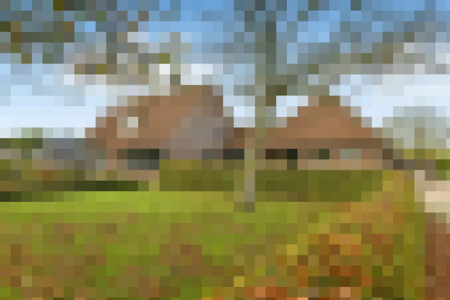 Siebengewaldseweg 133 Bergen L thumbnail 4