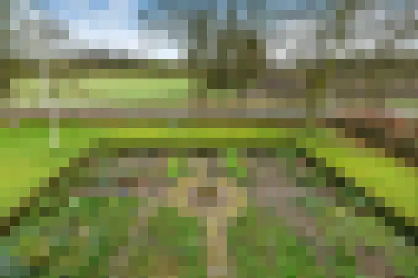 Siebengewaldseweg 133 Bergen L thumbnail 49