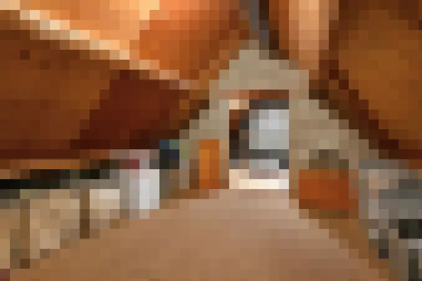 Siebengewaldseweg 133 Bergen L thumbnail 52