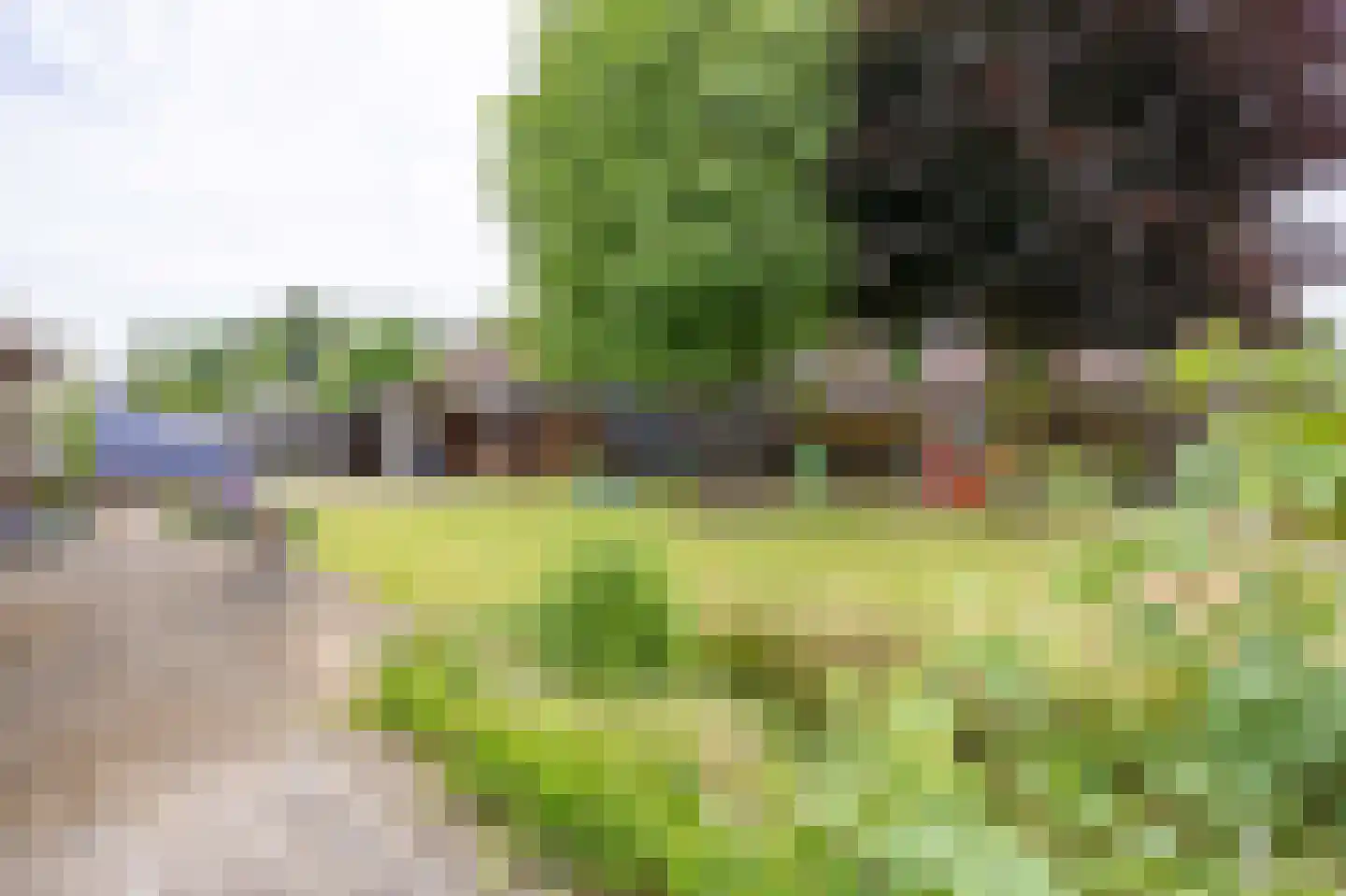 Siebengewaldseweg 32 Bergen L thumbnail 36