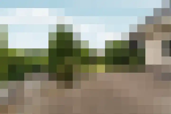 Siebengewaldseweg 37 Bergen L thumbnail 30