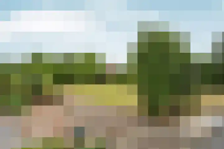 Siebengewaldseweg 37 Bergen L thumbnail 31