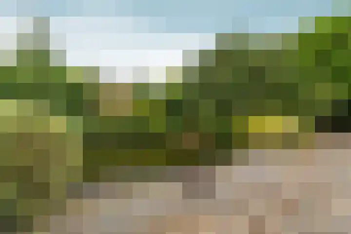 Siebengewaldseweg 37 Bergen L thumbnail 32