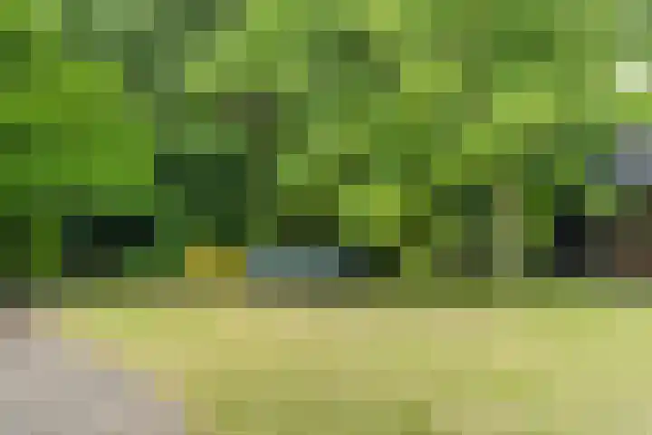 Siebengewaldseweg 37 Bergen L thumbnail 33