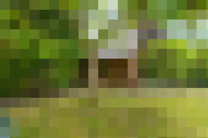 Siebengewaldseweg 37 Bergen L thumbnail 34