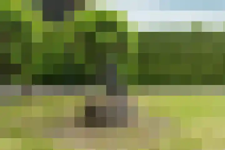 Siebengewaldseweg 37 Bergen L thumbnail 35