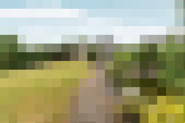 Siebengewaldseweg 37 Bergen L thumbnail 36
