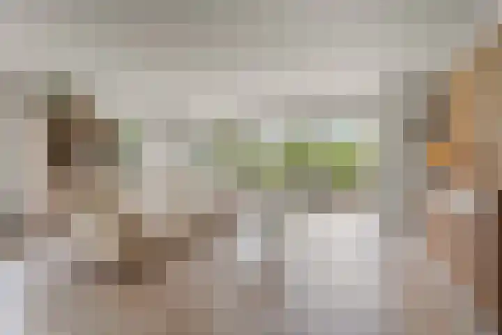 Siebengewaldseweg 37 Bergen L thumbnail 6