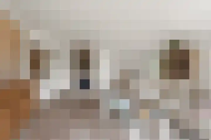 Siebengewaldseweg 37 Bergen L thumbnail 7