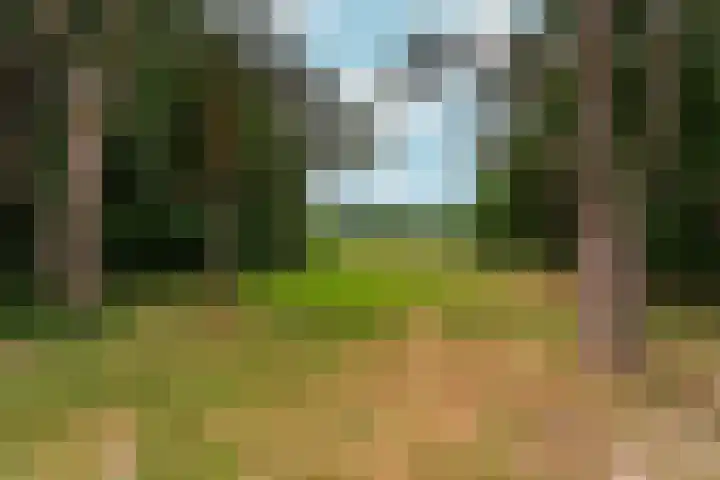 Siebengewaldseweg 84 Bergen L thumbnail 25