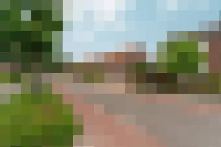 Siebengewaldseweg 84 Bergen L thumbnail 6