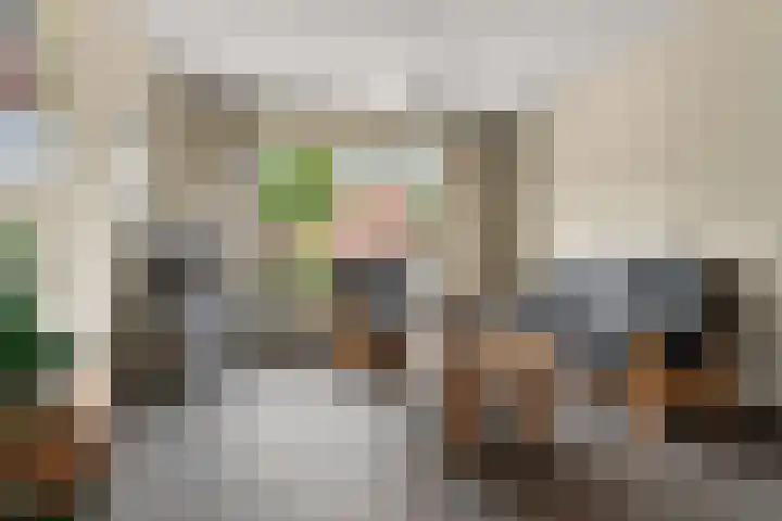 Siebengewaldseweg 84 Bergen L thumbnail 7