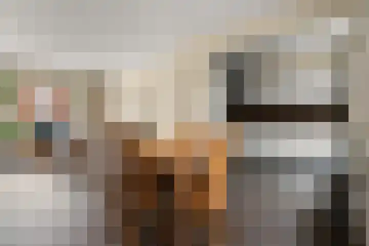 Siebengewaldseweg 84 Bergen L thumbnail 9