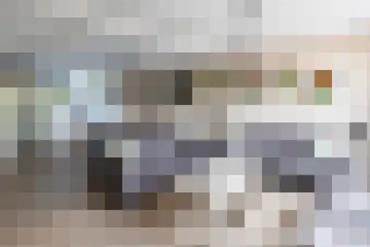 Siebengewaldseweg 89 Bergen L thumbnail 11