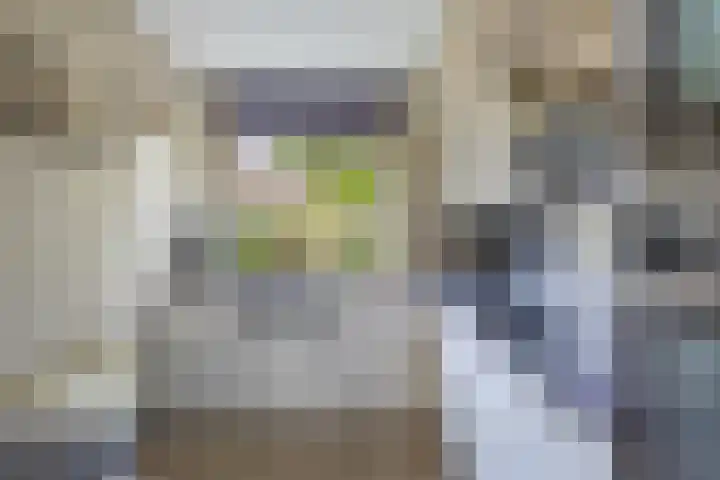 Siebengewaldseweg 89 Bergen L thumbnail 17