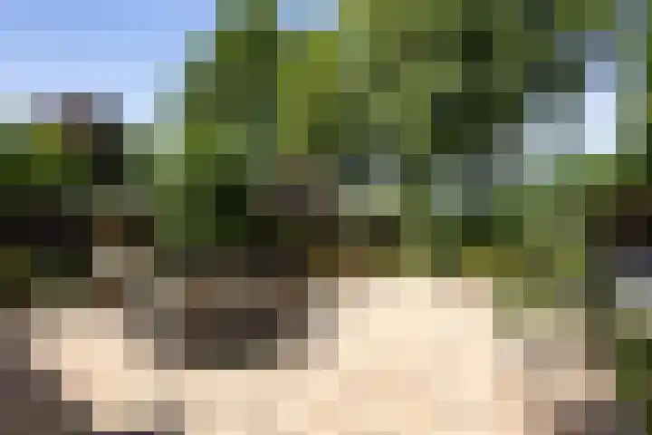Siebengewaldseweg 89 Bergen L thumbnail 33