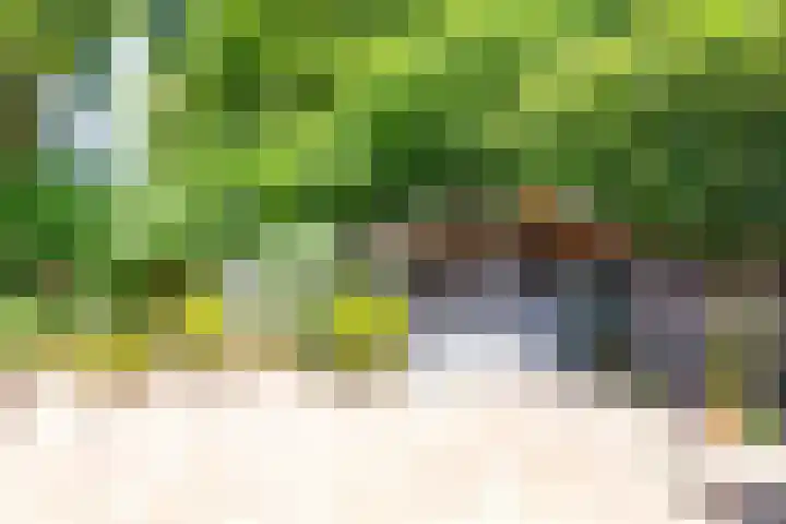 Siebengewaldseweg 89 Bergen L thumbnail 34