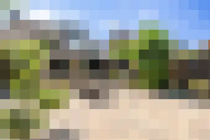 Siebengewaldseweg 89 Bergen L thumbnail 4
