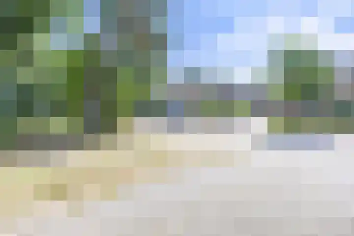 Siebengewaldseweg 89 Bergen L thumbnail 41