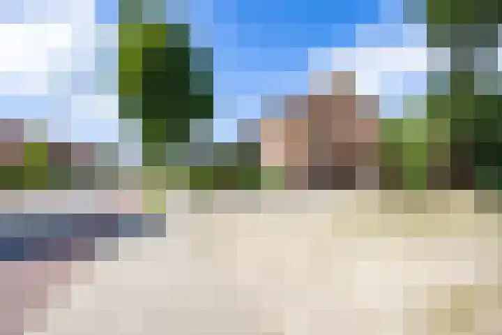 Siebengewaldseweg 89 Bergen L thumbnail 44