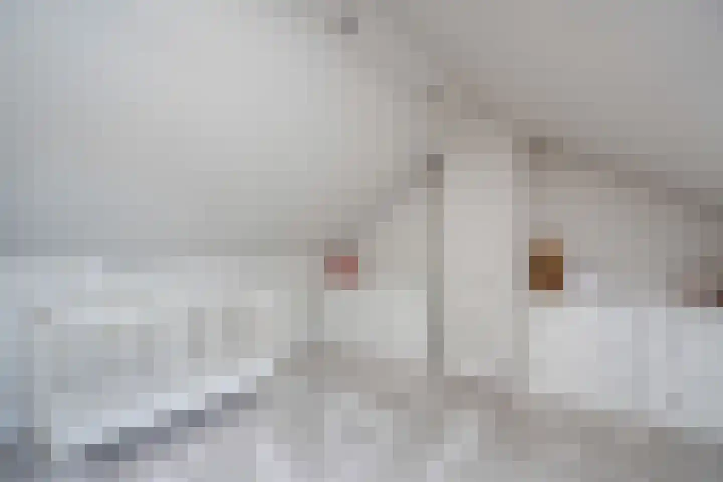 Siebenweg 23 Wanneperveen thumbnail 34