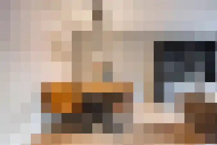 Sieberg 125 Uden thumbnail 11