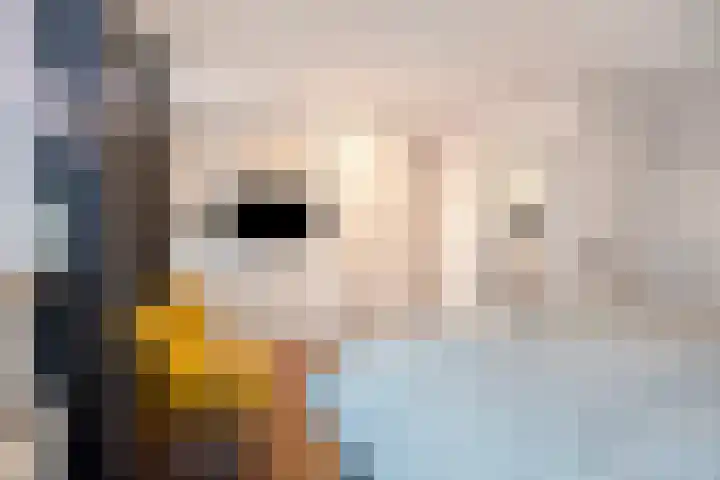 Sieberg 125 Uden thumbnail 21