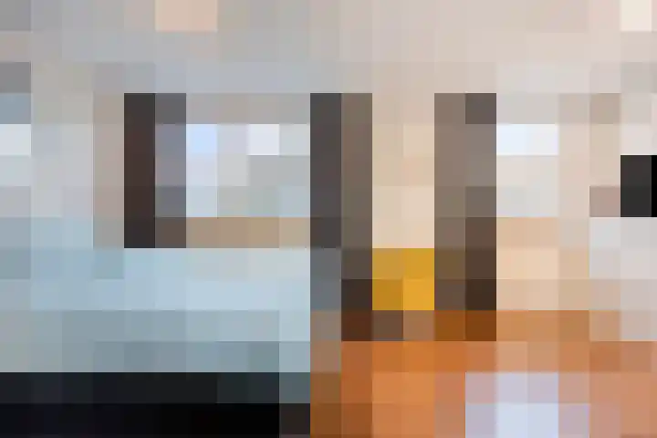 Sieberg 125 Uden thumbnail 23