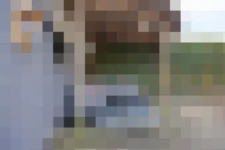 Sieberg 125 Uden thumbnail 43