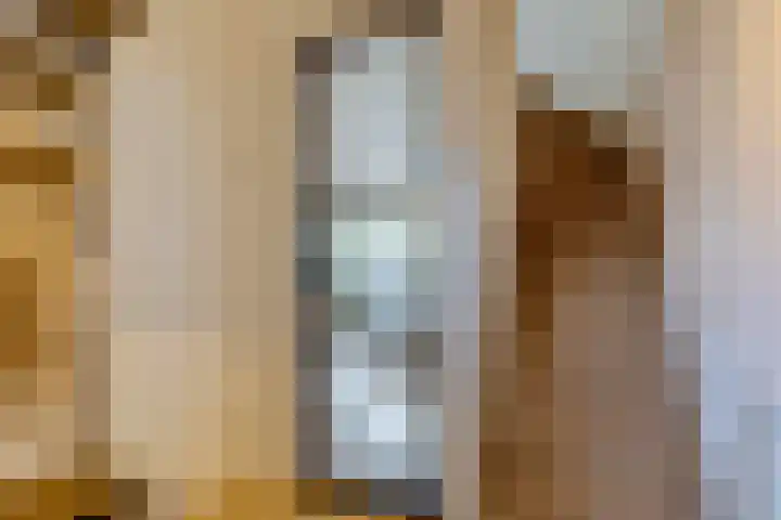 Sieberg 224 Uden thumbnail 10