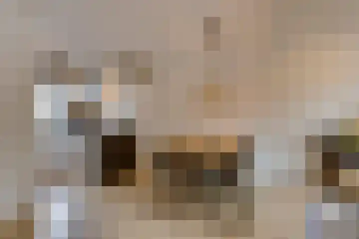 Sieberg 224 Uden thumbnail 13