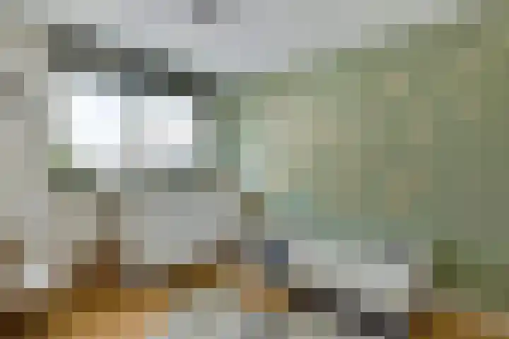 Sieberg 224 Uden thumbnail 19