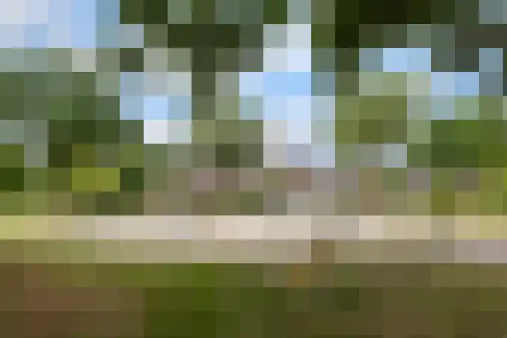 Sieberg 224 Uden thumbnail 27