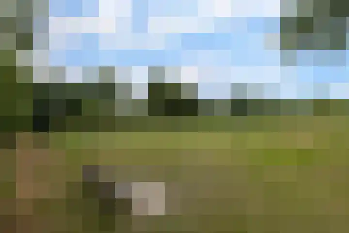 Sieberg 224 Uden thumbnail 28