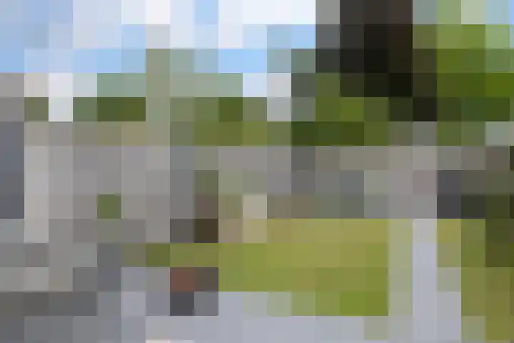 Sieberg 224 Uden thumbnail 6