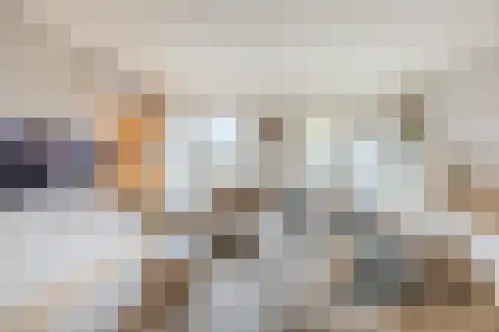 Sieberg 303 Uden thumbnail 12