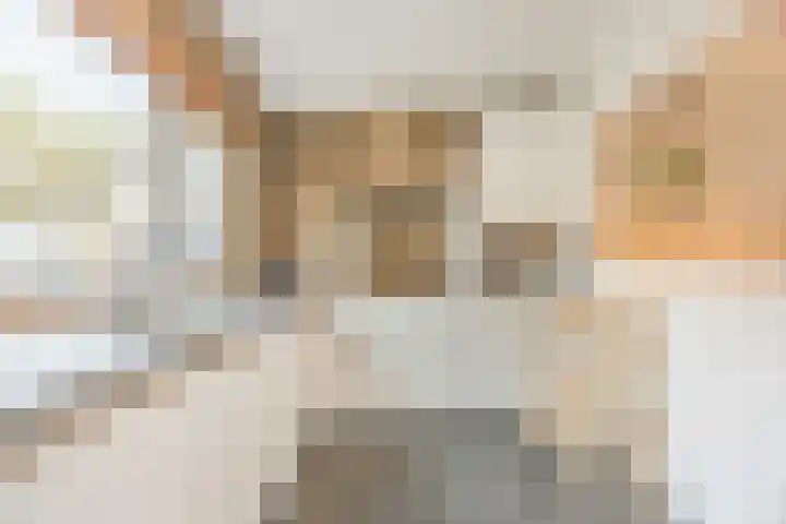Sieberg 303 Uden thumbnail 19