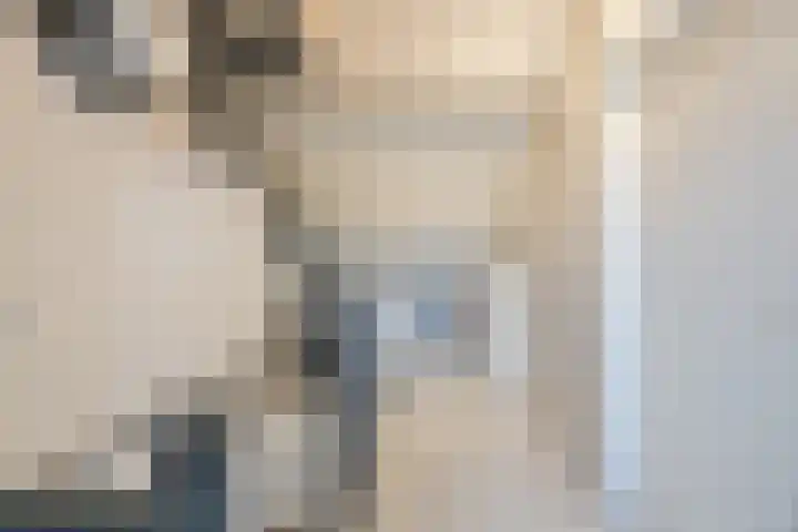 Sieberg 303 Uden thumbnail 38